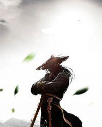 太子妃又双叒暴走了